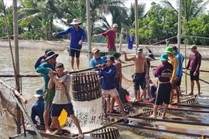 Cần nhiều giải pháp để gia tăng giá trị cho cá tra Việt Nam