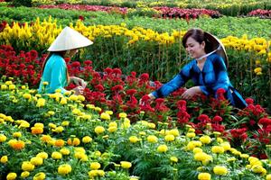 Festival hoa Đà Lạt 2022: Cơ hội để quảng bá nông sản và phát triển du lịch