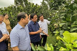 Bộ trưởng Bộ Nông nghiệp và PTNT Lê Minh Hoan: Năm 2023 phải đi sâu vào kinh tế nông thôn