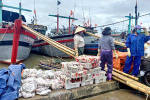 Gấp rút gỡ thẻ vàng cho thủy sản Việt Nam