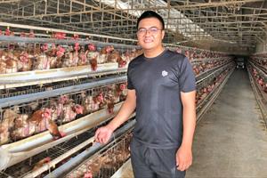 Thu nhập tiền tỷ từ chăn nuôi gà chất lượng cao