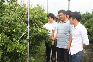 Hội Làm vườn Việt Nam: Tập trung chuyển giao tiến bộ kỹ thuật cho hội viên
