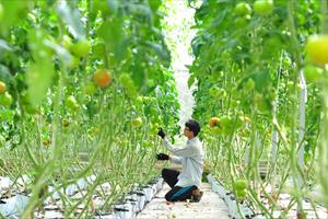 Nông nghiệp chuyển đổi mạnh mẽ và tiếp cận các xu thế phát triển trên thế giới
