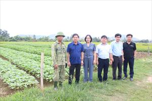 Triển khai Nghị Quyết liên tịch giữa Bộ NN-PTNT và Hội Làm vườn Việt Nam: Các cấp Hội cần chủ động