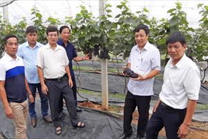 Hội Nông nghiệp và Phát triển nông thôn tỉnh Bắc Ninh: Dồn sức triển khai Nghị quyết liên tịch số 06