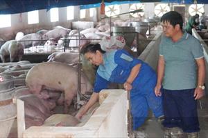 Hội Làm vườn tỉnh Bắc Giang: Thúc đẩy phát triển nông nghiệp tuần hoàn