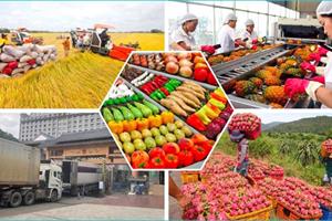 Ngành Nông nghiệp  đón “sóng” thị trường cuối năm