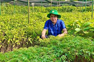 Hội Làm vườn Việt Nam: Không ngừng đổi mới phương thức hoạt động