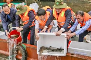 Nam Định hướng đến nuôi thủy sản bền vững