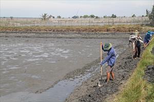 Thừa Thiên- Huế tăng cường phòng chống hạn hán, thiếu nước