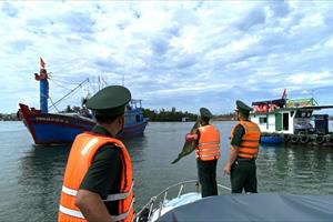 Gần 5.000 tàu, thuyền ở Quảng Ngãi vào trú tránh bão Noru an toàn