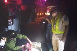 Quảng Nam phát hiện xe chở 2 cá thể trăn
