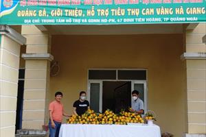 Quảng Ngãi hỗ trợ tiêu thụ cam cho tỉnh Hà Giang