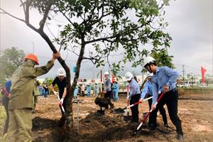 Ban Quản lý KKT Dung Quất và các KCN Quảng Ngãi phát động “Tết trồng cây đời đời nhớ ơn Bác”