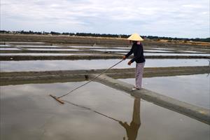 Tăng cường bảo tồn đồng muối truyền thống, phát huy giá trị văn hóa Sa Huỳnh