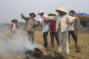 Quảng Ngãi phân bổ 10.220kg thuốc diệt chuột hỗ trợ nông dân bảo vệ sản xuất vụ đông xuân 2023 - 2024