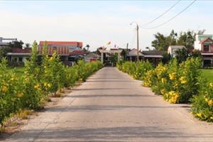 Năm 2024, huyện Bình Sơn sẽ đạt chuẩn nông thôn mới