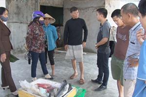 Hà Tĩnh: Tổ chức thu mua hải sản cho ngư dân