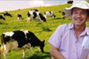 Dự án nuôi bò nghìn tỷ của “bầu Đức” bị thu hồi