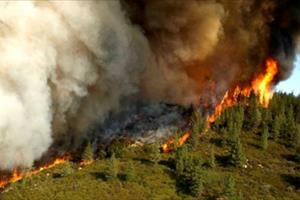 Mỹ: Cháy rừng dữ dội tại California, hàng trăm người dân phải sơ tán