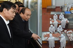 Thủ tướng thăm một số cơ sở sản xuất ở Bắc Ninh