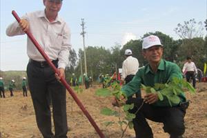 Công ty TNHH Lâm nghiệp Bình Thuận: “Vì lợi ích mười năm trồng cây, vì lợi ích trăm năm trồng người”