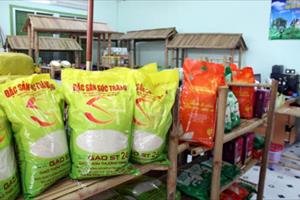 Thương hiệu gạo Việt phải được định vị từ chất lượng lúa giống
