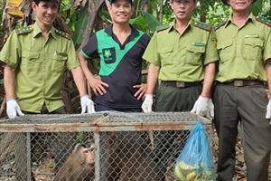 Người dân TT- Huế tự nguyện giao nộp 2 cá thể khỉ quý hiếm