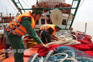 Thủ tướng yêu cầu làm rõ vì sao tình trạng khai thác hải sản bất hợp pháp vẫn còn?