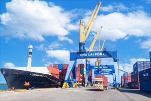 Hơn 2.000 tấn tinh bột sắn được xuất khẩu qua cảng Chu Lai