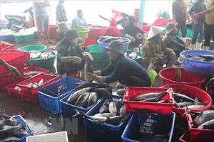 Thành lập Quỹ hỗ trợ phát triển nghề cá Khánh Hòa