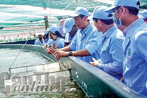 Ðịnh vị nông nghiệp xanh, “Made in Việt Nam” cho đất Chín Rồng - Bài 2: Giữ gìn hệ sinh thái tự nhiên, lan tỏa giá trị cộng đồng
