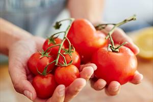 Sáu lợi ích sức khỏe khi ăn cà chua