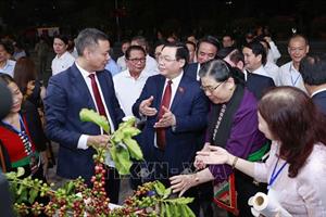 Chủ tịch Quốc hội dự khai mạc Lễ hội Cà phê tỉnh Sơn La
