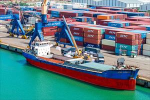 Sản lượng hàng nông, lâm sản xuất khẩu qua cảng Chu Lai tăng mạnh