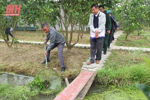 Thanh Hóa phát triển vườn hộ ở các xã nông thôn mới nâng cao