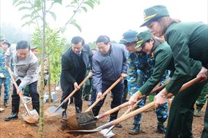 Thủ tướng chỉ thị tổ chức Tết trồng cây, tăng cường công tác quản lý, bảo vệ, phát triển rừng