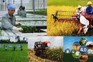 Nâng cao vai trò, hiệu quả phát triển kinh tế tập thể trong nông nghiệp của Hội Nông dân