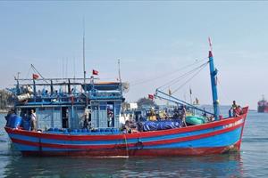 Chương trình hành động của Chính phủ chống khai thác thủy sản bất hợp pháp