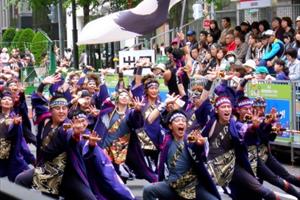 Đà Nẵng có lễ hội Hanami đầu tiên tại Asia Park