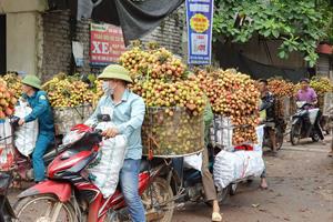 Bắc Giang ban hành Chương trình hành động nông nghiệp, nông dân, nông thôn