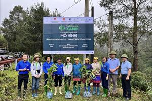 Đoàn Bộ Nông nghiệp và PTNT tham gia Chiến dịch trồng 1 triệu cây tre tại Yên Bái