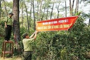 Bắc Giang đẩy mạnh công tác phòng cháy, chữa cháy rừng