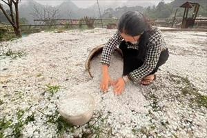 Mưa đá gây thiệt hại nặng ở hai huyện Mai Châu và Vân Hồ