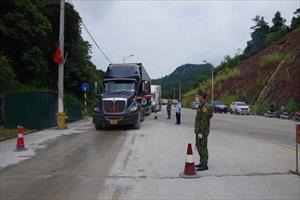 Nỗ lực triển khai các phương án hạn chế tối đa xe chở nông sản chờ thông quan tại cửa khẩu Lạng Sơn