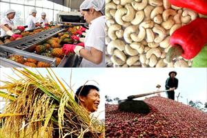 Xúc tiến đưa nông sản, thực phẩm Việt vào thị trường Hà Lan