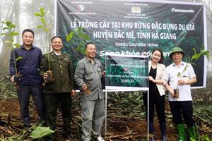 Hà Giang huy động nguồn lực xã hội trong công tác bảo vệ và phát triển rừng
