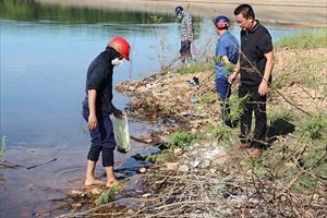 Hà Tĩnh công bố nguyên nhân cá chết ở hồ Bộc Nguyên