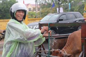 Agribank Chi nhánh Hà Tĩnh II trao tặng 70 con bò giống trị giá hơn 900 triệu đồng cho 6 địa phương
