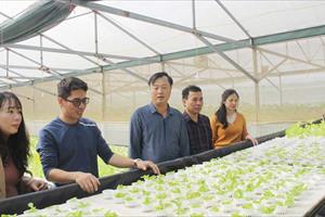 Mô hình nông nghiệp công nghệ cao - hướng đi hiệu quả ở Hưng Nguyên